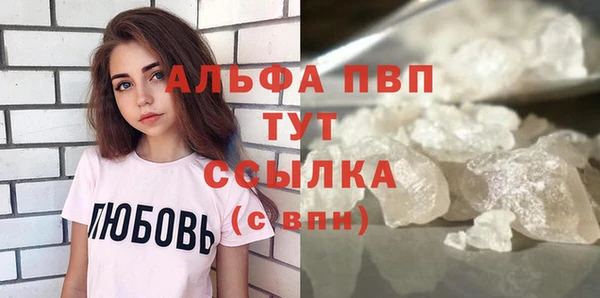 прущие грибы Михайловск