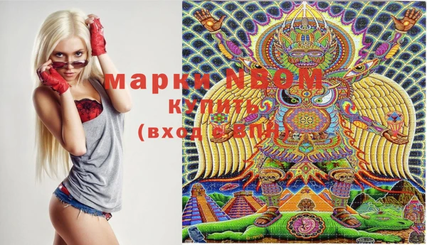 прущие грибы Михайловск