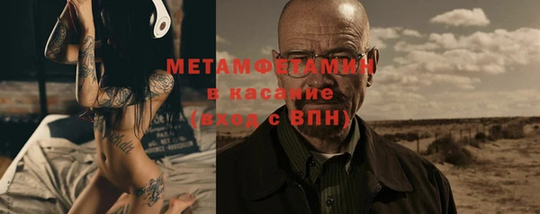 прущие грибы Михайловск