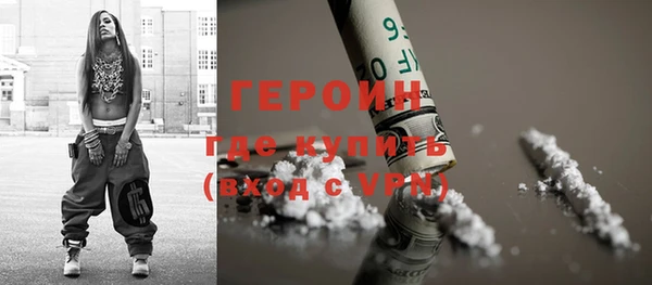 прущие грибы Михайловск