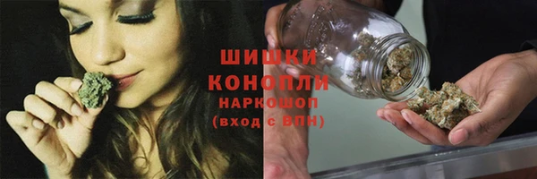 прущие грибы Михайловск