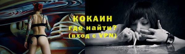прущие грибы Михайловск