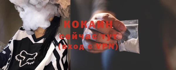 прущие грибы Михайловск
