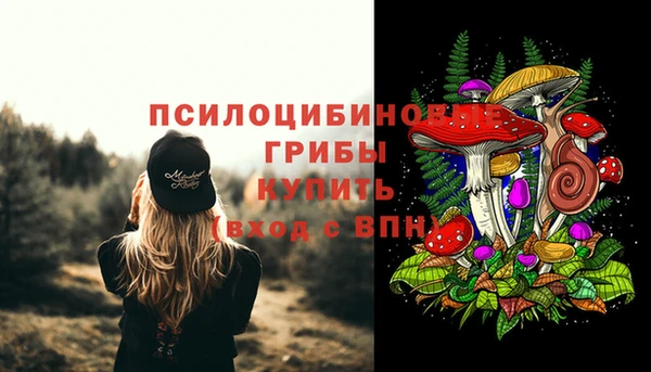 PSILOCYBIN Горняк