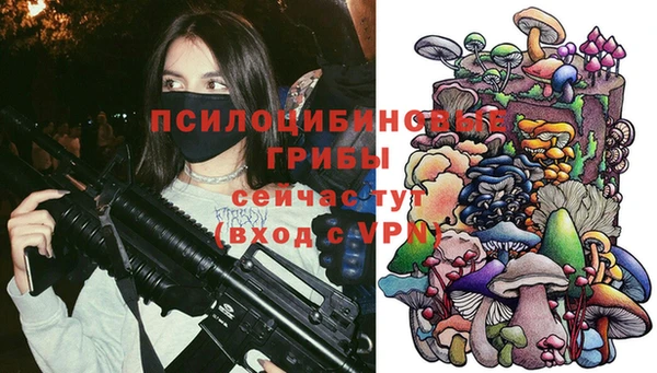 прущие грибы Михайловск