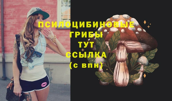 прущие грибы Михайловск