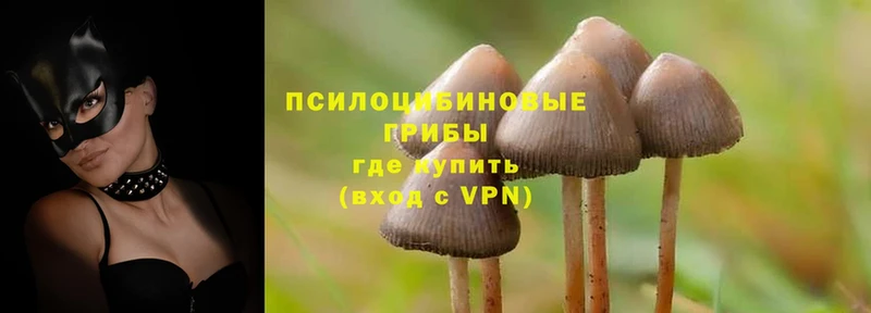 Галлюциногенные грибы Magic Shrooms  МЕГА ссылки  Заозёрный 