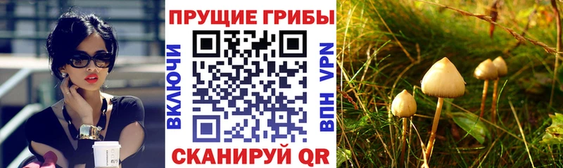 Псилоцибиновые грибы прущие грибы Заозёрный